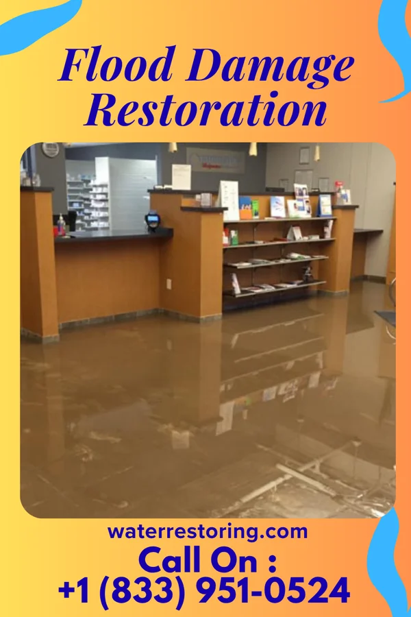 Flood Damage Restoration in Freeport, NY