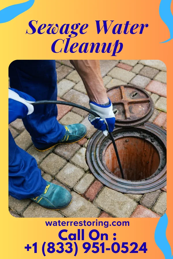 Sewage Water Cleanup in Freeport, NY