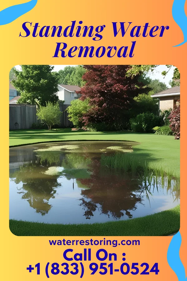 Standing Water Removal in Freeport, NY